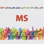 ارتباط چاقی، سیگار، نمک، شیفت کاری، میکروب های روده ای با خطر ام اس نویسنده: دکتر سعید شاه بیگی متخصص نورولوژی فلوشیپ ام اس و انسفالیت های التهابی