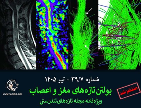 شاخص بولتن شماره 7 دکتر سعید شاه بیگی