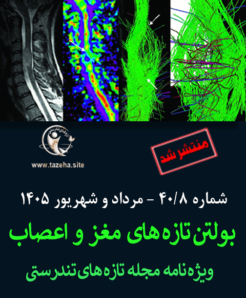 بولتن شماره 8 رکتر سعید شاه بیگی